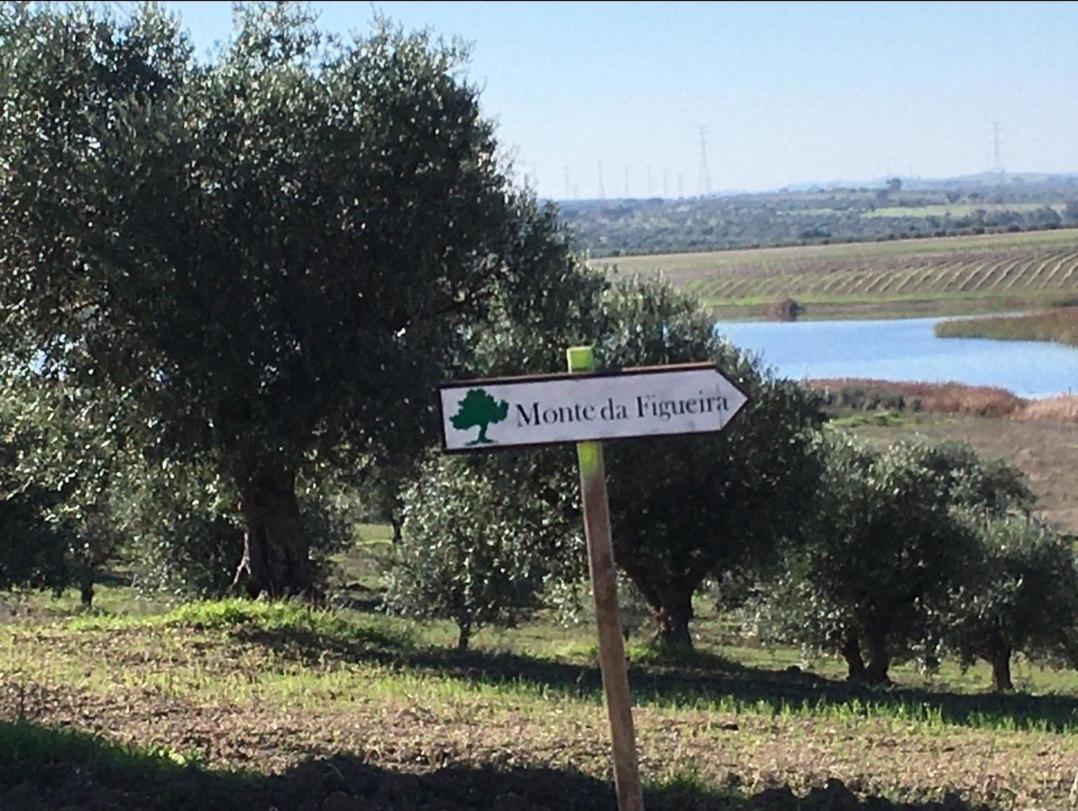 Monte Da Figueira Villa Amareleja Bagian luar foto
