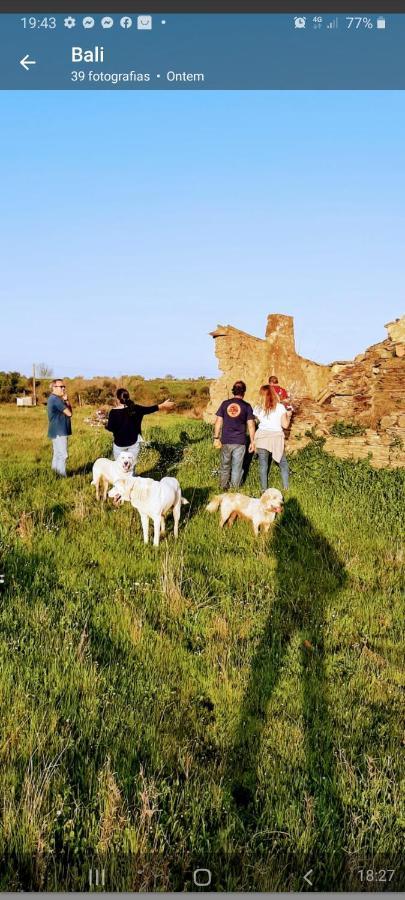 Monte Da Figueira Villa Amareleja Bagian luar foto