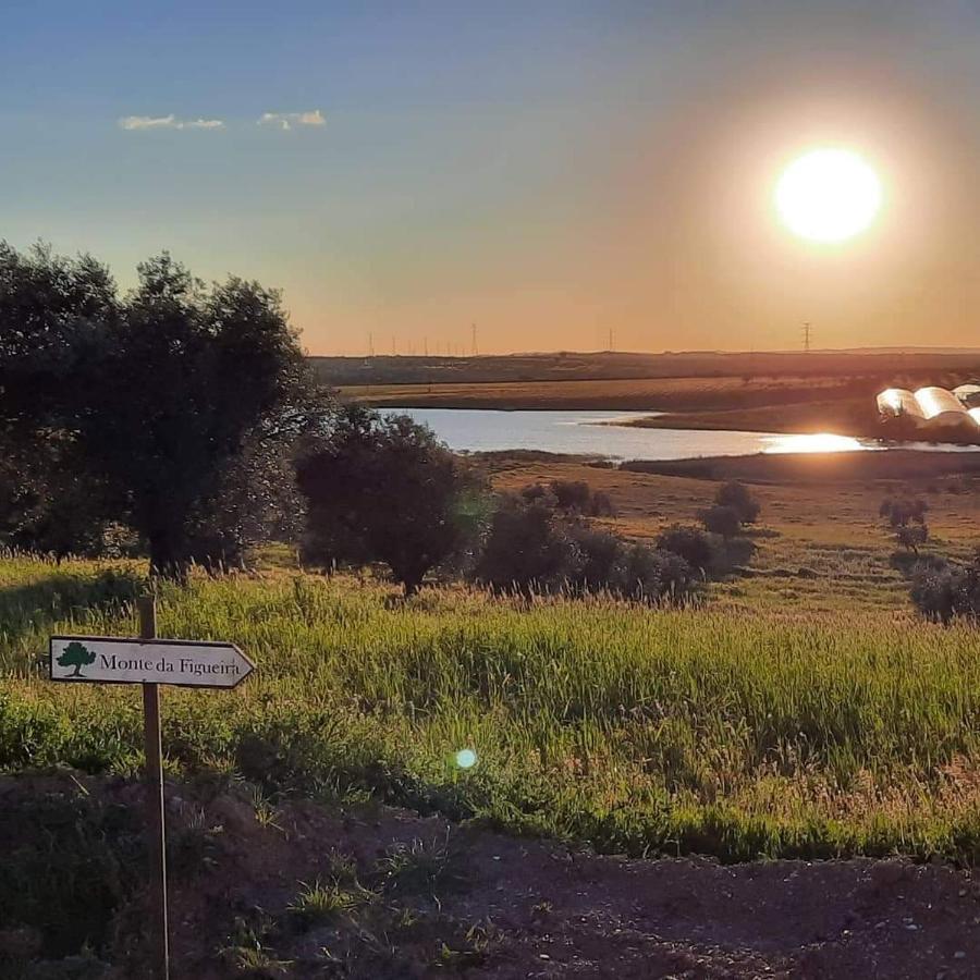 Monte Da Figueira Villa Amareleja Bagian luar foto